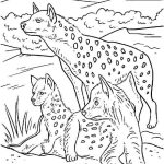 Dibujos de hienas para colorear, descargar e imprimir